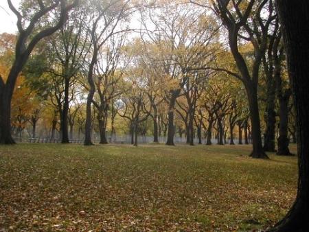 Central Park, NYC, Autumn, 2005