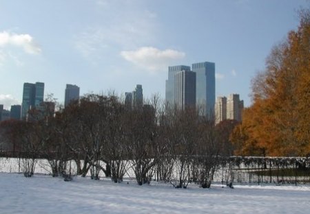 snow in Central Park, December 6, 2005