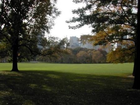 Central Park, NYC, Autumn, 2005